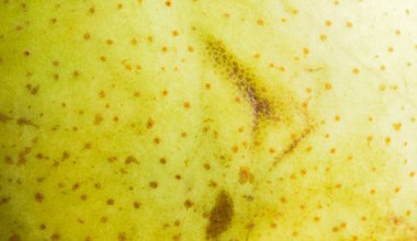 İlginç bir dokusu olan sarı armut derisi. arkaplan