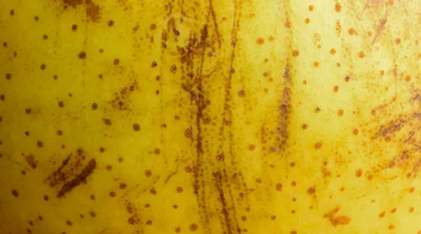 Piel Pera Amarilla Con Una Textura Interesante Antecedentes — Foto de Stock