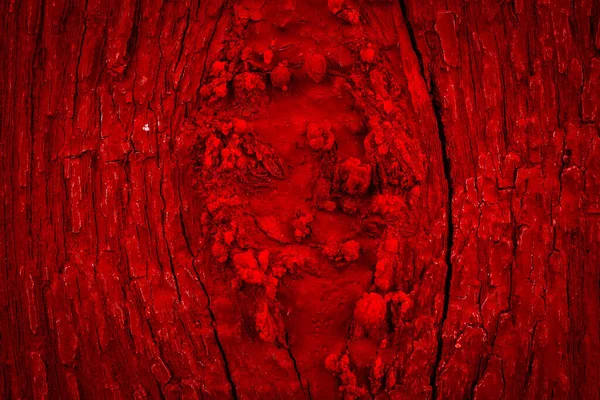 Vieux Bois Fissuré Peint Rouge Fond Texture — Photo