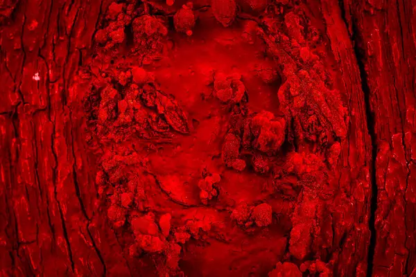 Kırık Ahşap Kırmızıya Boyanmış Arkaplan Veya Doku — Stok fotoğraf