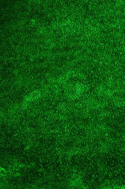 Paslı, eski, yeşil bir çarşaf. arkaplan veya doku