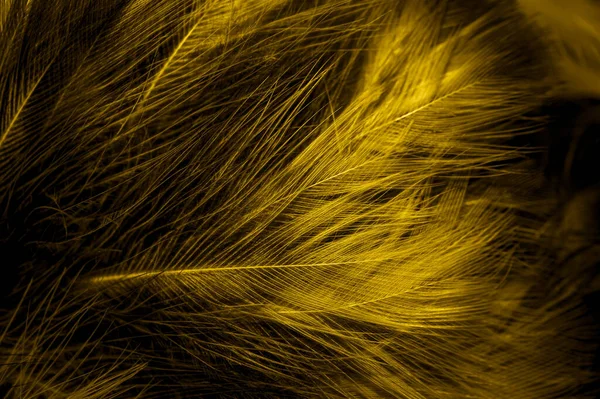 Чорно Жовті Пір Фон — стокове фото