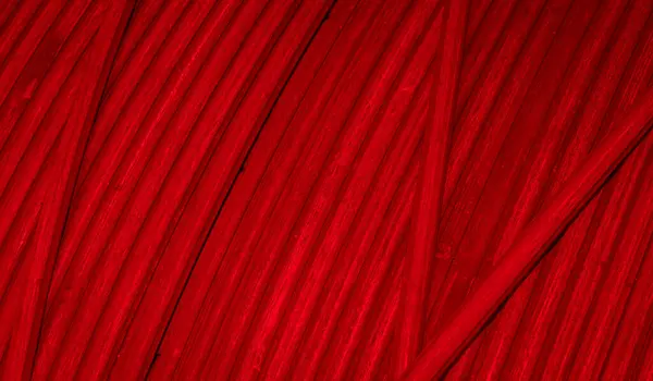 Rode Koperdraden Met Zichtbare Details Achtergrond Textuur — Stockfoto