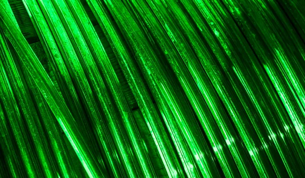 Green Copper Wires Visible Details Background Texture — Stock Photo, Image