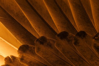 Portakal tüyü makro resim. doku veya arkaplan