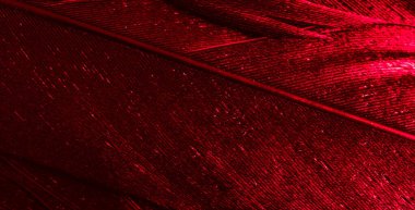 Görünür desenli kırmızı tüyler