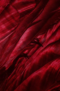 Görünür desenli kırmızı tüyler