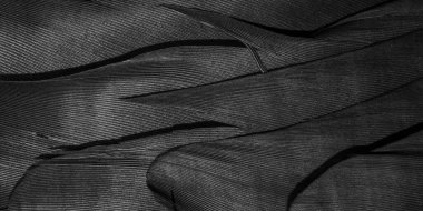 görünür dokuya sahip siyah tüyler