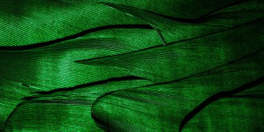 Görünür desenli yeşil tüyler