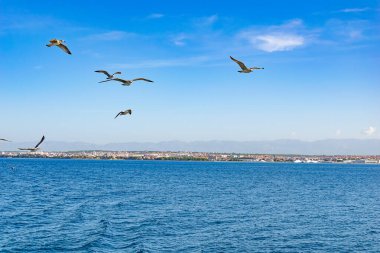 Hırvatistan 'ın kıyı kenti Zadar