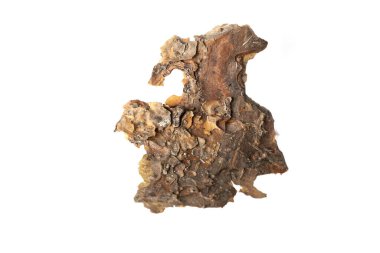 beyaz izole arkaplanda çam kabuğu