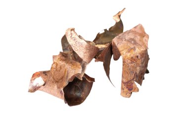 İzole edilmiş beyaz arkaplanda bakır talaşı.