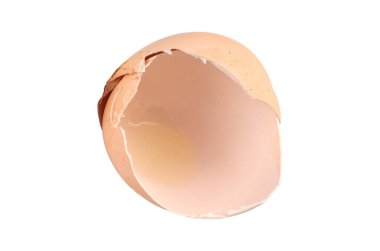 Beyaz izole arkaplanda yumurta kabukları