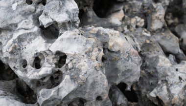 İlginç bir dokusu olan hafif kireçtaşı. arkaplan