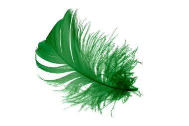 Beyaz izole arkaplanda yeşil tüyler