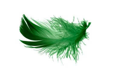 Beyaz izole arkaplanda yeşil tüyler