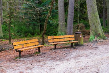 Parktaki ahşap banklar