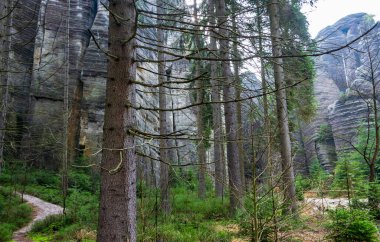 Çek Cumhuriyeti, Adrspach 'taki Rock kasabası