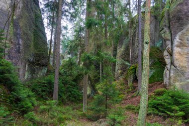 Çek Cumhuriyeti, Adrspach 'taki Rock kasabası