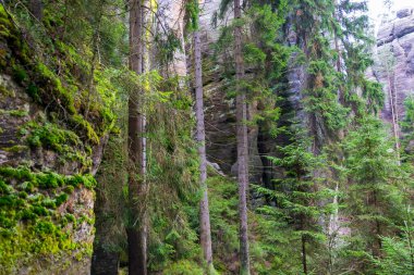 Çek Cumhuriyeti, Adrspach 'taki Rock kasabası