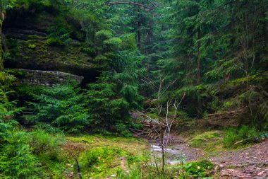 Çek Cumhuriyeti, Adrspach 'taki Rock kasabası