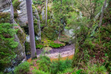 Çek Cumhuriyeti, Adrspach 'taki Rock kasabası