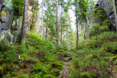 Çek Cumhuriyeti, Adrspach 'taki Rock kasabası