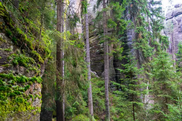 Çek Cumhuriyeti, Adrspach 'taki Rock kasabası