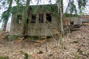 Osowek Dağı 'ndaki Riese proje binalarının kalıntıları.