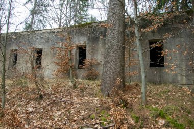Osowek Dağı 'ndaki Riese proje binalarının kalıntıları.