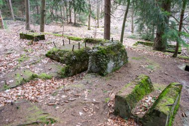 Osowek Dağı 'ndaki Riese proje binalarının kalıntıları.