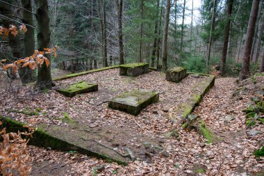 Osowek Dağı 'ndaki Riese proje binalarının kalıntıları.