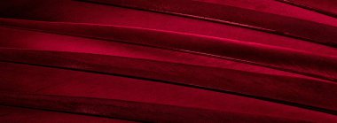 Kırmızı tüylü güvercin makro fotoğrafı. doku veya arkaplan