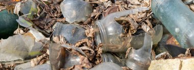 Ormana atılan cam çöpler.