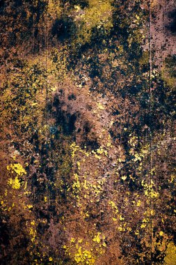 Renkli eski soyulmuş boyalarla boyanmış bir duvar.