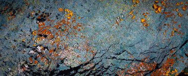 Renkli eski soyulmuş boyalarla boyanmış bir duvar.