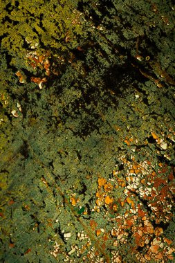 Renkli eski soyulmuş boyalarla boyanmış bir duvar.