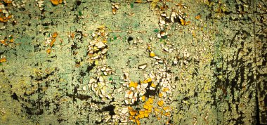 Renkli eski soyulmuş boyalarla boyanmış bir duvar.