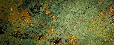 Renkli eski soyulmuş boyalarla boyanmış bir duvar.