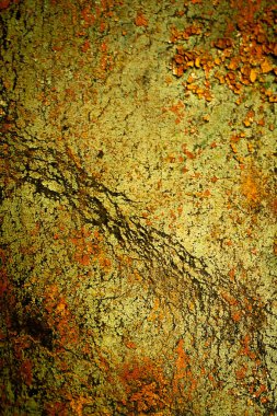 Renkli eski soyulmuş boyalarla boyanmış bir duvar.