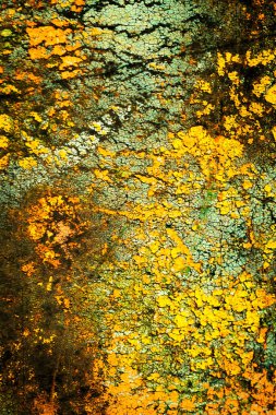 Renkli eski soyulmuş boyalarla boyanmış bir duvar.