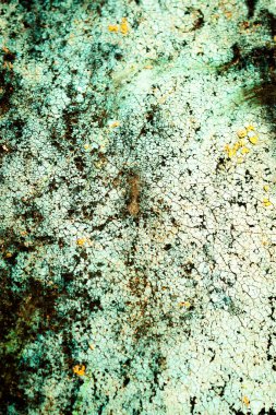 Renkli eski soyulmuş boyalarla boyanmış bir duvar.