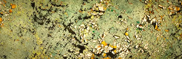 Renkli eski soyulmuş boyalarla boyanmış bir duvar.