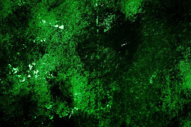 Beyaz, eski, soyulmuş boyayla boyanmış yeşil duvar.