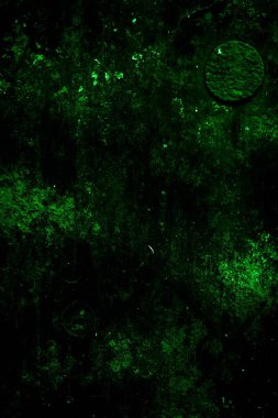 Beyaz, eski, soyulmuş boyayla boyanmış yeşil duvar.