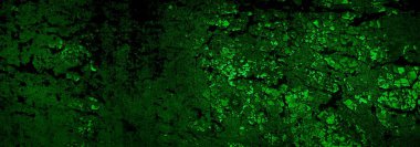 Beyaz, eski, soyulmuş boyayla boyanmış yeşil duvar.