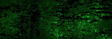 Beyaz, eski, soyulmuş boyayla boyanmış yeşil duvar.