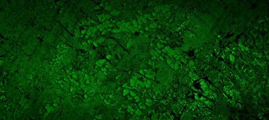 Beyaz, eski, soyulmuş boyayla boyanmış yeşil duvar.