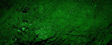 Beyaz, eski, soyulmuş boyayla boyanmış yeşil duvar.