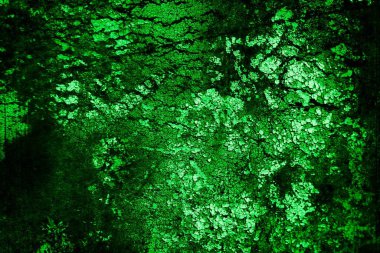 Beyaz, eski, soyulmuş boyayla boyanmış yeşil duvar.